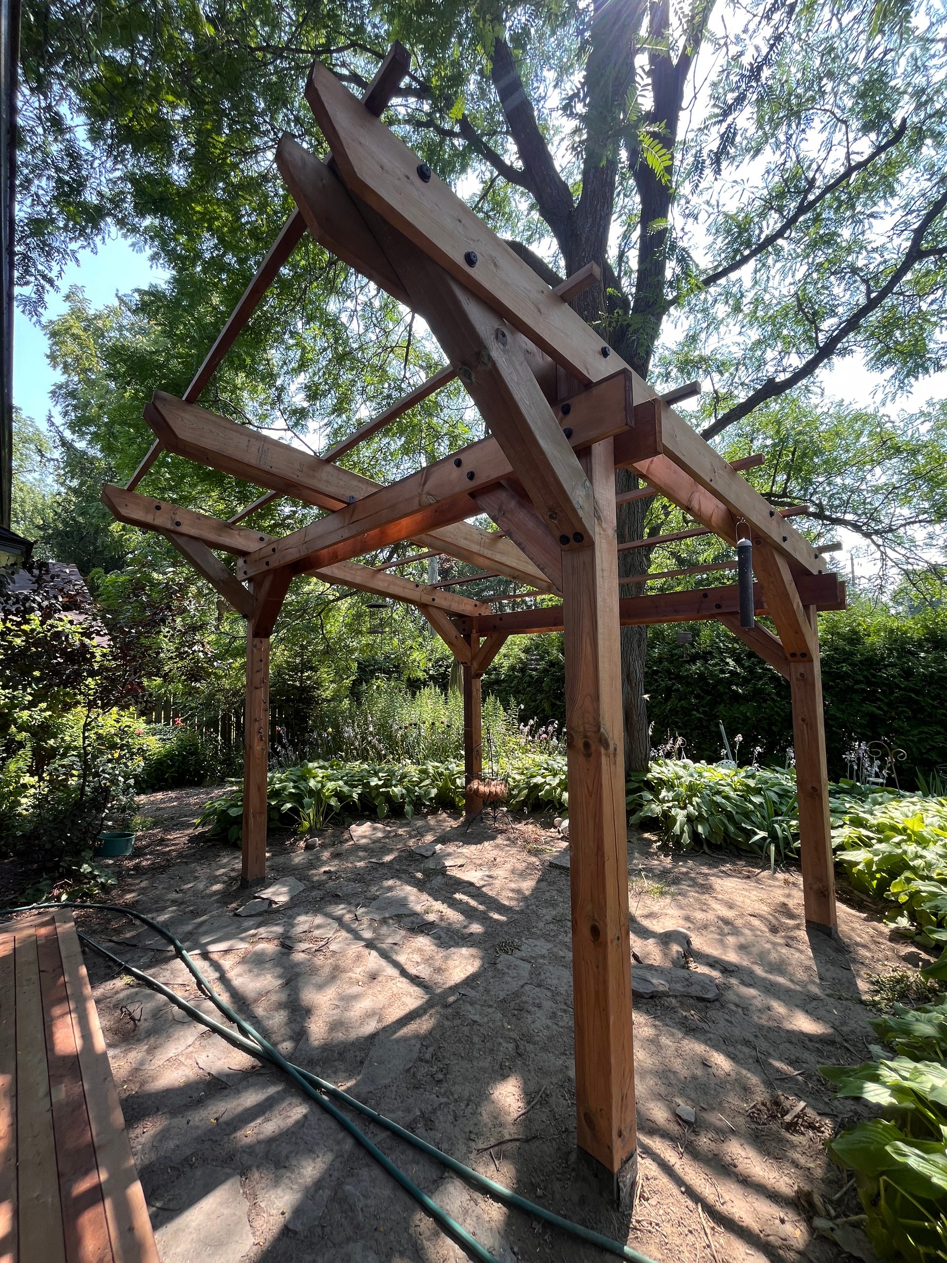 Pergola, Queensway Terrace North, 2025