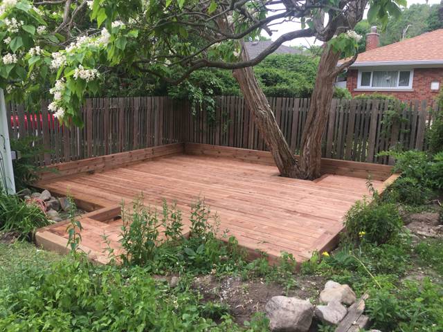 Fence, shed and deck