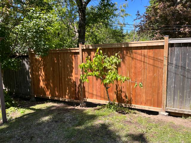 Fence